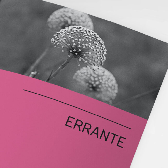 Photobook Errante - Image 2