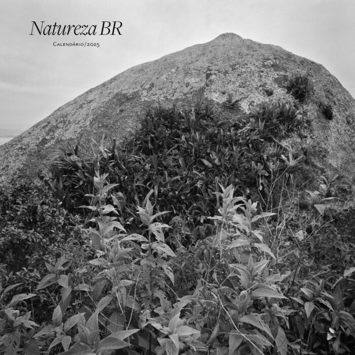 Natureza BR – 2025 Calendar